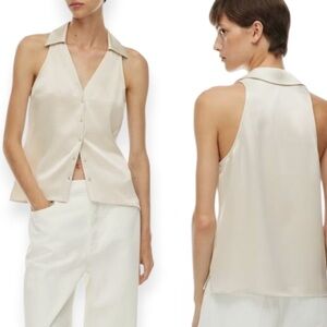 Aritzia Babaton Clockwork Satin Top (small)